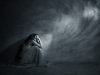Six-Word Memoirs of PPD