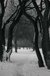 winter blues winter blues